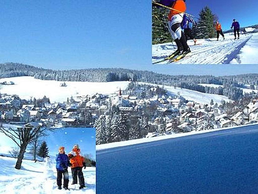 Appartmentvermietung Terrassenpark Schonach Schonach im Schwarzwald Экстерьер фото